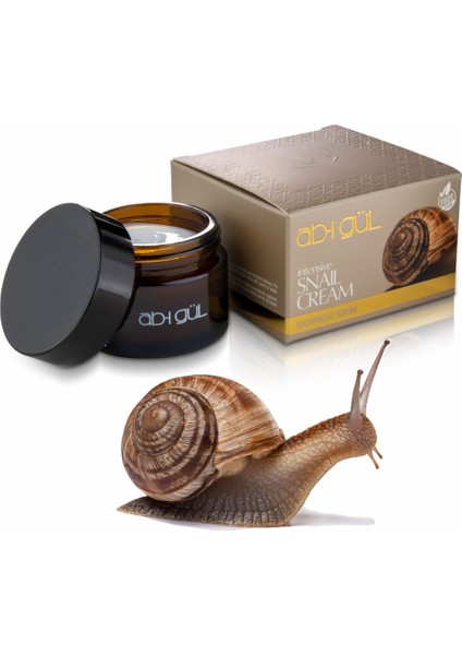 Ab-I Gül Salyangoz Kremi 45 ml