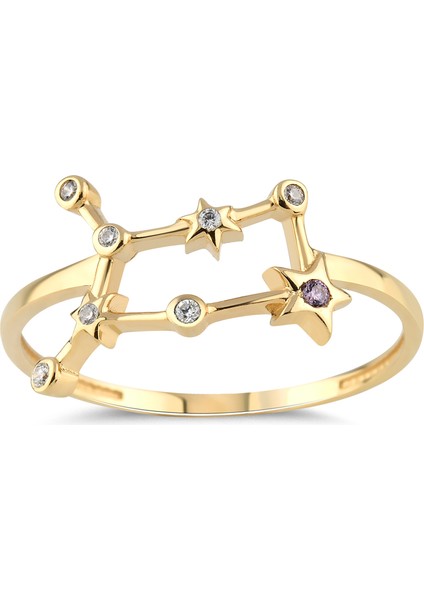 Ikizler Burcu Gümüş Yüzük YZFG.111 fiyatları