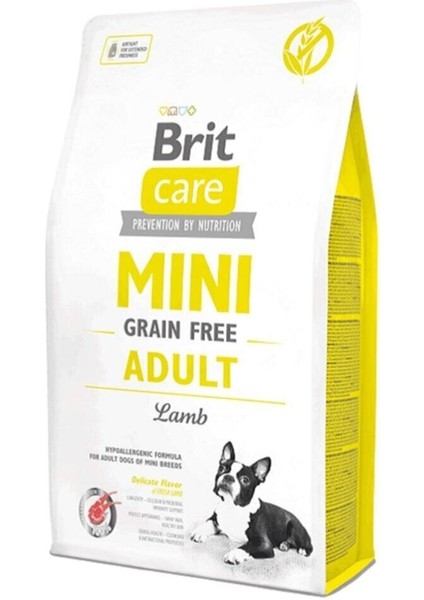 Mini Adult Kuzulu Tahılsız Küçük Irk Köpek Maması 2 kg