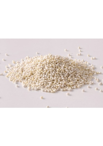 Stein 890 428 Düz Kenar Bantlama Boncuk Tutkal 25 Kg. fiyatları