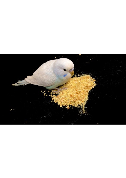 Premium Karışık Kuş Maması 1kg fiyatları