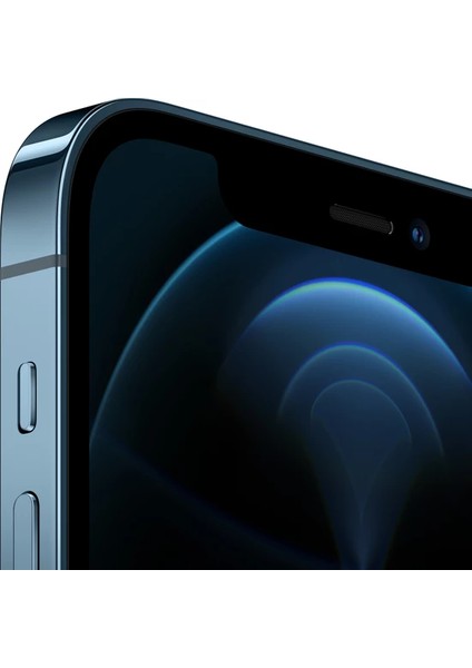 Yenilenmiş Apple iPhone 12 Pro Max 512 GB (12 Ay Garantili) - B Grade fiyatları