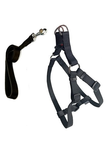 Cool Walk Harness Siyah Köpek Göğüs Tasması Xs