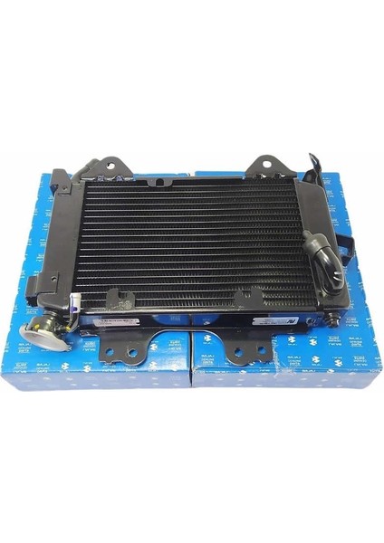 Pulsar NS200-RS200 Radyatör