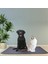 Kapalı Pet Idrar Ped Kullanımlık Kedi Köpek Idrar Su Emici Mat, Boyut M (Yurt Dışından) 4
