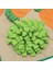 Burun Çalışma Battaniye Pet Snuffle Mat Interaktif Oyunlar Oyuncaklar İçin Kediler Köpekler İçin (Yurt Dışından) 4