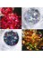 5 Adet Nail Art Lüks Tırnak Süsleme Kelebek Pullar 5 Farklı Renk 1 Arada 4