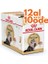 Pouch Persian Iran Kedilerine Özel Yaş Maması 85 gr - Box - 12 Al 10 Öde 1