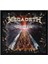 Megadeth Endgame Albüm Arma Peç Patch Yama 1