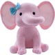  Renk Pembe