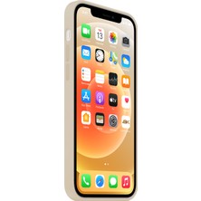 NFZ Apple iPhone 11 Lansman Kılıf Silikon Bej