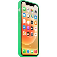 NFZ Apple iPhone 11 Lansman Kılıf Silikon Fıstıkyeşili