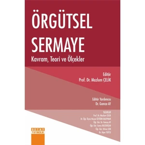Örgütsel Sermaye Kavram, Teori ve Ölçekler - Mazlum Çelik