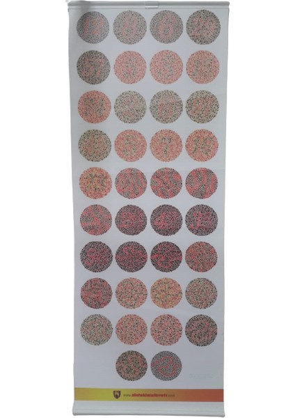 Renk Körlüğü Test Skalası