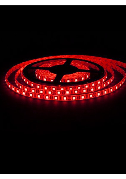 Alfa LED Şerit LED 3 Çip Iç Mekan Kırmızı