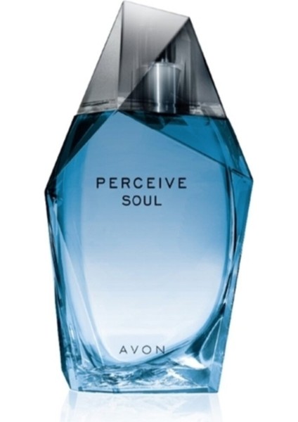 Perceive Soul Erkek Parfüm 100 ml