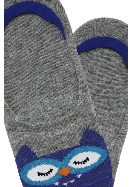 3 Lü Hayvan Desenli Erkek Çocuk Görünmez Çorap fırsatları