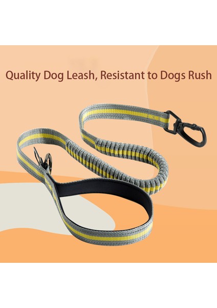 Pet Home Ldlc QS-079 Yansıtıcı Naylon Geri Çekilebilir Elastik Köpek Emniyet Kemeri Yavru Araba Güvenlik Halat Yürüyüş Tasma Orta Büyük Pet - Sarı  (Yurt Dışından)