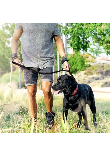 Köpek Tasma Güçlü Dayanıklı Tasma Çift Döngü Kolları ile Halat Çekme - Kırmızı (Yurt Dışından) indirimleri