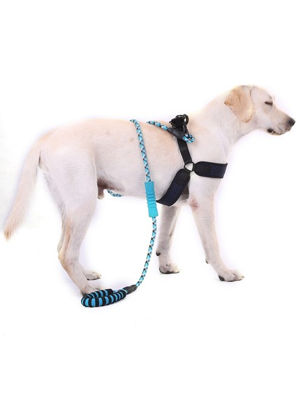 Yansıtıcı Naylon Köpek Tasma Yuvarlak Yastıklı Saplı Yuvarlak Çekiş Halatı - Mavi (Yurt Dışından)