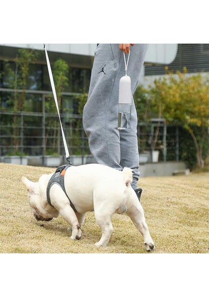 Xiaomi Youpin Pekit Pet Su Şişesi 400 ml Kupası Köpek Kedi Içme Çeşmesi Açık Pet Su Dağıtıcı (Yurt Dışından) indirimleri