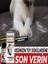 Kedi Biotine +Plus Kedi Sağlığı Damlası 100 ml Kedi Tüy Dökülmesi Karşıtı 1