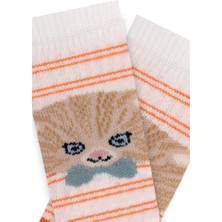 Semoor 3 Lü Kedi Desenli Erkek Bebek Patik Çorap