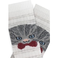 Semoor 3 Lü Kedi Desenli Erkek Bebek Patik Çorap