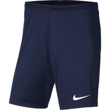 Nike BV6865-410 Park Iıı Çocuk Şort