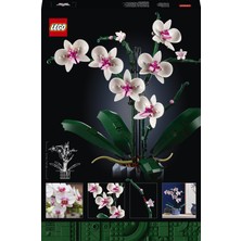 LEGO® Orkide 10311 - Yetişkinler Için Dekoratif Bitki Yapım Seti; Eviniz Ya Da Ofisiniz Için Bir Orkide Sergileme Modeli Yapın (608 Parça)