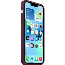 NFZ Apple iPhone 13 Pro Max Silikon Kılıf Logolu Lansman Kılıf- Bordo