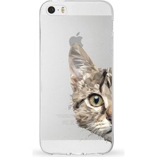 PrintiFy Apple iPhone 5 Uyumlu Kapak Catface Tasarımlı Şeffaf Silikon Kılıf