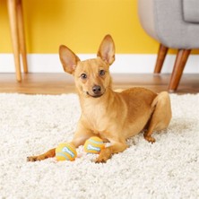 Chuckit Chuckit! 2'li Köpek Tenis Oyun Topu (Küçük Boy)