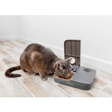 Pet Safe Petsafe 2 Öğün Otomatik Mama Kabı PFD19-17005