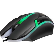 Life Teknoloji C-28 RGB Gaming Oyuncu Mouse RGB Işıklı -Colorful