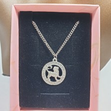 Ororabutik Gümüş Renk 25MM Aslan Burcu Figürlü Kolye