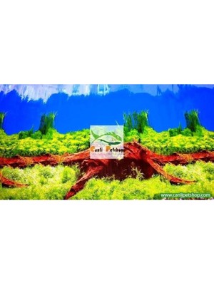 Canlı Petshop Arka Fon No: Nature 9008 Manzara-4 50 cm Uzunluk (Yükseklik 50 cm)