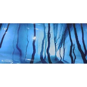 Canlı Petshop Arka Fon Umut Ormanı Uzunluk 50 cm Yükseklik 30 cm No 8019