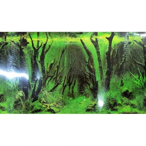 Canlı Petshop Arka Fon 50 cm Uzunluk Yükseklik 30 cm No 9085