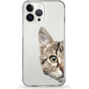 Apple iPhone 13 Pro Uyumlu Darbe Emici Antişok Kapak Vespagirl Tasarımlı Silikon Şeffaf Kılıf