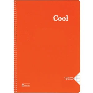 Keskin Color -Cool 120 Yaprak Kareli A4 Plastik Kapak Spiralli Defter