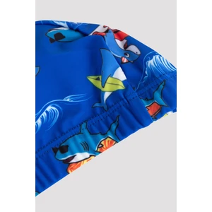 Mix Boys Surf Shark Bone