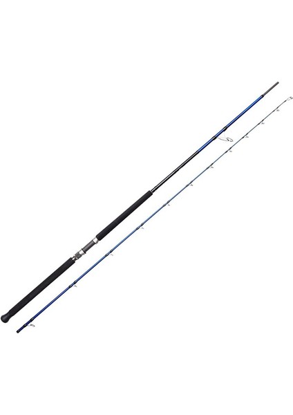 Savage Gear Sgs6 Shore Jigging 10'/3.05M 30-100 gr 2 Parça