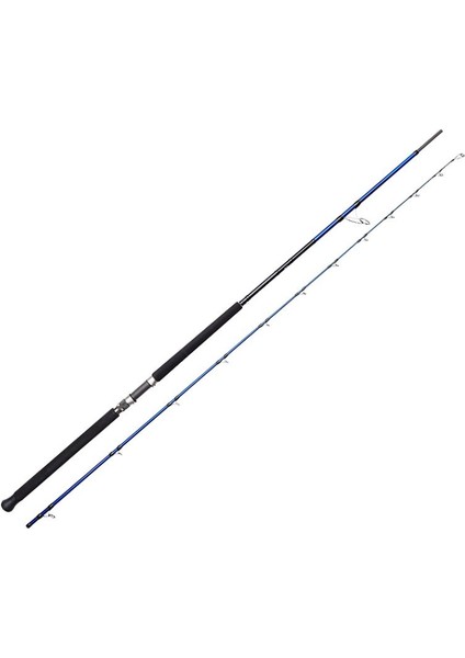 Sgs6 Shore Jigging 10'/3.05M 60-150 gr 2 Parça