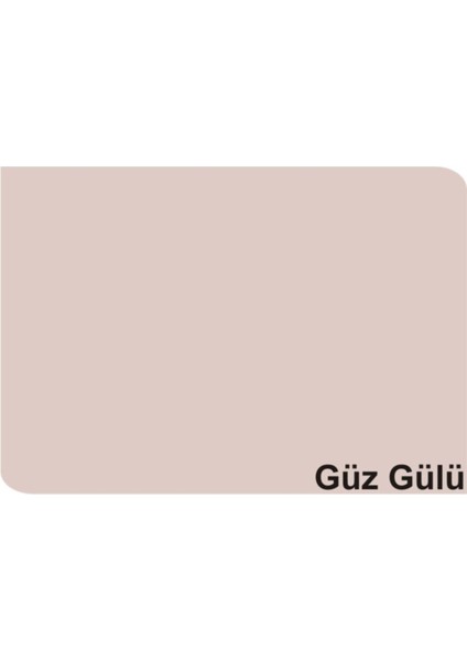 Silikonlu Özel Mat Güz Gülü 2,5 Lt (3,5 Kg)