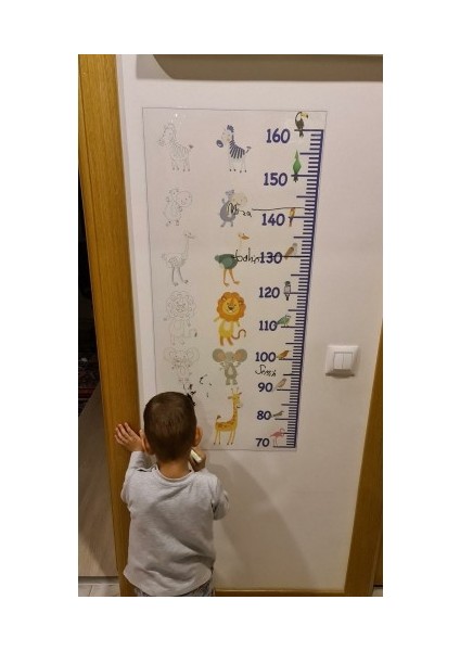 Sihirli Tahta Boy Ölçer Renkli 25X95CM Sihirli Akıllı Statik Kağıt Tahta + Kalem Hediye