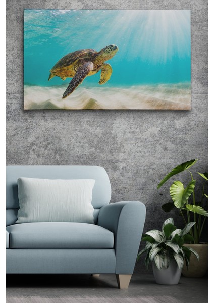 Deniz Kaplunbağası Dekoratif Kanvas Duvar Tablosu