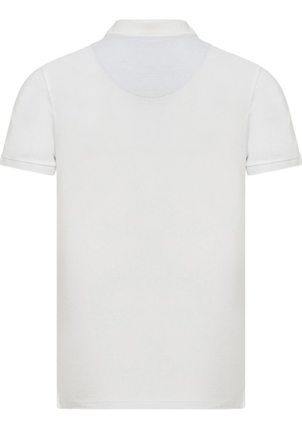 Post Polo Erkek Tişört RFPOST22