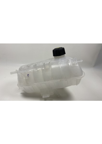 7701478318 Oem / Oem / Genleşme Kavanozu Kango Iıı