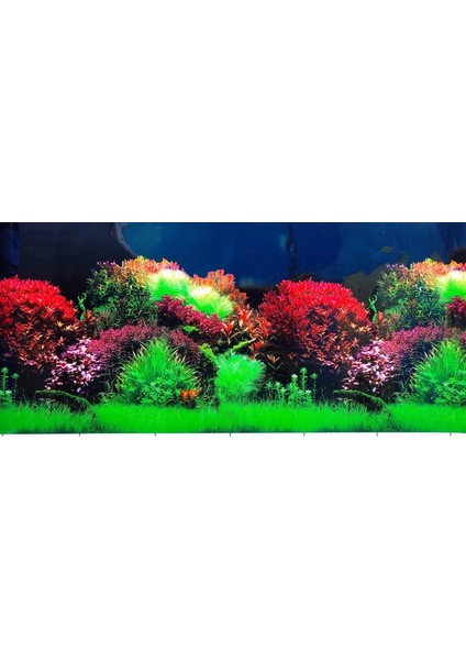 Arka Fon Kırmızı Cazibe 50 cm Uzunluk Yükseklik 30 cm 8007
